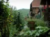 Кайзерсберг - Растения, цветы, деревья и разноцветные дома у реки (Вайс)