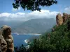 Каланче де Пиана - Каланча-де-пьяна: Деревья, скалы и скалы из красного гранита (ручьи) с видом на Средиземное море, облака в небе
