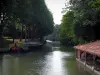 Канал дю Миди - Канал с плавучим домом и деревьями у кромки воды