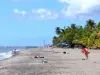 Карбет - Coin Beach с его серым песком, кокосовыми пальмами и Карибским морем