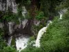 Каскад Бийо - Водопад, скалы, кусты и деревья