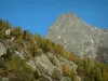 Красные иглы - Col des Montets, вид на деревья и скалы (скалы) массива Aiguilles Rouges (заповедник Aiguilles Rouges)