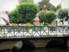 Креси-ла-Шапель - Долина Гранд Морин (живописная долина Гранд Морин): мост через реку Гранд Морин, цветы и деревья