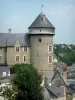 Лаваль - Donjon du Vieux-Château с видом на крыши домов в старом городе