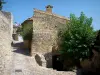 Ла-Роке-сюр-Сезе - Мощеная аллея облицована каменными домами