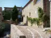Ла-Роке-сюр-Сезе - Мощеные грунтовые и каменные дома