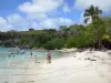 Ле Гозье - Пляж Пети-Хавр: белый песок, море, купальщики, кокосовые пальмы и деревья