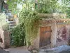 Ле-Кастелле - Лестница дома, украшенного растениями и горшками
