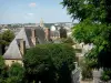 Ле Ман - Вид на крыши города и зелени