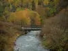 Маршрут Гранд Альпы - Небольшой деревянный мост через ручей и деревья цвета осени