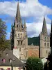 Менде - Колокольни собора Нотр-Дам и Сен-Приват: епископская колокольня (слева) и каноническая колокольня (справа)