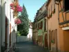 Мольсайм - Мощеная улица выложена домами с красочными фасадами и окнами, украшенными цветами