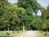 Мон-де-Марсан - Парк Жан-Рамо: аллея с лавками и деревьями