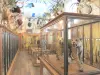 Музей охоты и природы - Гид по туризму, отдыху и проведению выходных в департам Париж