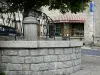 Насбиналь - Деревенский фонтан; в сердце Lozérien Aubrac