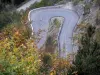 Национальный парк Экринс - Массив де Экрин: деревья на переднем плане с видом на извилистую дорогу (изгиб)