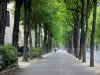 Нейи-сюр-Сен - Обсаженный деревьями тротуар