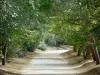 Нерак - Парк-де-ла-Гарен: прогулка вдоль деревьев