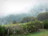 Обрак Авейронне - Зеленый пейзаж с туманом