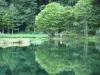 Озеро Вифмале - Деревья, отражающиеся в водах пруда Вифмейла; в региональном природном парке Арьеж Пиренеи, в Кузерансе, в долине Вифмейла