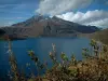 Озеро Мон Сенис - Альпийские растения на переднем плане, озеро (водохранилище), снежные горы и облака на голубом небе, Верхняя Мориенна (периферийная зона национального парка Вануаз)