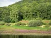 Озеро Паннезьер - Искусственное озеро (озеро Панесьер-Шомар), водная флора и берег, засаженный деревьями; в Региональном природном парке Морван