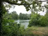 Парк департамента Иль-Сен-Дени - Деревья на берегу реки Сены