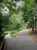Парк департамента Иль-Сен-Дени - Прогулка под деревьями