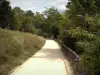 Парк департамента Иль-Сен-Дени - Прогулочная аллея в зеленой обстановке