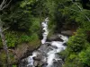 Пейзажи Верхней Гаронны - Река с камнями и деревьями на краю воды, в Пиренеях