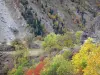 Пейзажи Дофине - Массив де Экрин - Уазаны: горные склоны и деревья в цветах осени