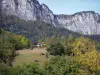 Пейзажи Дофине - В лесу преобладают скалы (скалы) массива Шартрез