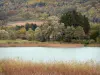 Пейзажи Дофине - Озеро Петичет (одно из четырех озер Лаффри), камыш и деревья, в муниципалитете Сен-Теоффри