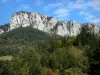 Пейзажи Дофине - Региональный природный парк Шартрез (массив Шартрез): скалы (скалы) с видом на лес