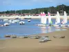 Пейзажи Жиронды - Bassin d'Arcachon - Andernos-les-Bains: оптимисты и катамараны парусного клуба, море и хижины устричного порта на заднем плане