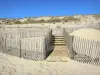 Пейзажи Жиронды - Дюны и песчаный пляж Каркан-Пляж