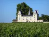 Пейзажи Жиронды - Виноградник Бордо: Шато Абель Лоран и виноградники Марго в Медоке
