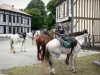 Пейзажи Ланд - Остановка лошадей в фахверковых домах в деревне Левиньяк