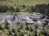 Пейзажи Пиренеев - Национальный парк Пиренеи: каменная стена, окруженная елями