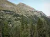 Пейзажи Пиренеев - Гора доминирует в лесу