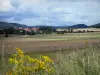 Пейзажи Doubs - Полевые цветы на переднем плане, поля, деревья, деревня и холмы