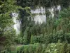 Пейзажи Doubs - Ущелья Ду: скалы (скалы), деревья и река Ду