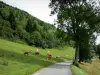 Пейзажи Doubs - Монбельярские коровы на лугу, дороге и деревьях