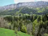 Региональный природный парк Веркор - Массив дю Веркор: пастбища, леса (деревья) и скалы, доминирующие над всем