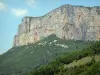 Региональный природный парк Веркор - Массив дю Веркор: скалы (скалы) Борнского ущелья