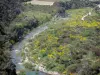 Региональный природный парк Верх-Лангедок - Река, кустарники, метла, цветы и деревья