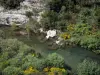 Региональный природный парк Верх-Лангедок - Река усажена кустарниками, цветами веника
