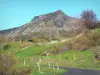 Региональный природный парк Монт-д'Ардеш - Гора Ардеш: дорога усеяна лугами с видом на гору Мезенк