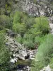 Региональный природный парк Монт-д'Ардеш - Долина Волане: деревья на берегу реки Волане