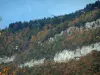 Савойские пейзажи осенью - Параглайдинг (парапланеризм) и горы, покрытые осенними деревьями